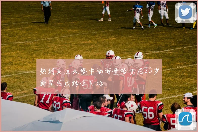 热刺关注米堡中场海登哈克尼23岁新星或成转会目标