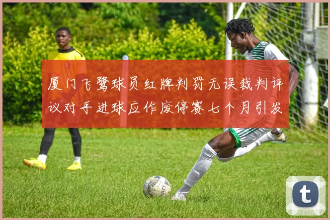 厦门飞鹭球员红牌判罚无误裁判评议对手进球应作废停赛七个月引发热议